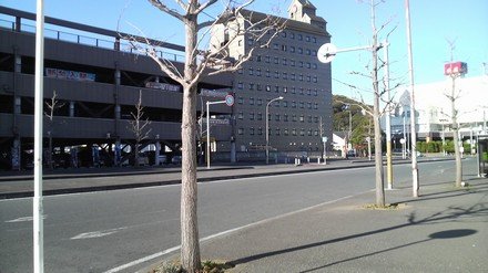 2009010103.jpg